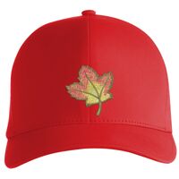 Flexfit Delta cap (180) Vignette