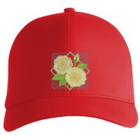 Flexfit Delta cap (180) Vignette