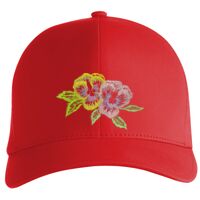Flexfit Delta cap (180) Vignette