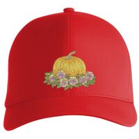 Flexfit Delta cap (180) Vignette