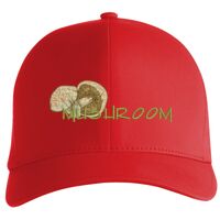 Flexfit Delta cap (180) Vignette