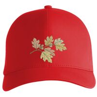 Flexfit Delta cap (180) Vignette