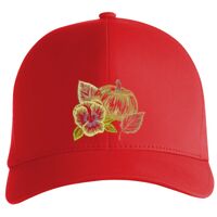 Flexfit Delta cap (180) Vignette