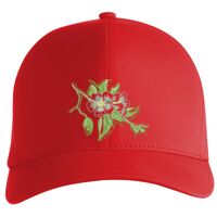 Flexfit Delta cap (180) Vignette