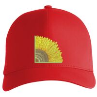 Flexfit Delta cap (180) Vignette