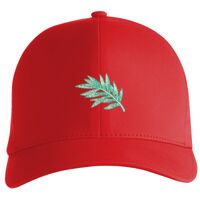Flexfit Delta cap (180) Vignette