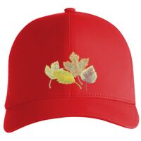 Flexfit Delta cap (180) Vignette
