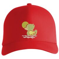 Flexfit Delta cap (180) Vignette