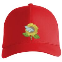 Flexfit Delta cap (180) Vignette