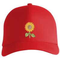Flexfit Delta cap (180) Vignette