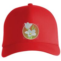 Flexfit Delta cap (180) Vignette