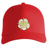 Flexfit Delta cap (180) Vignette