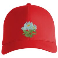 Flexfit Delta cap (180) Vignette
