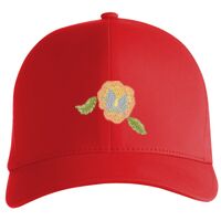 Flexfit Delta cap (180) Vignette