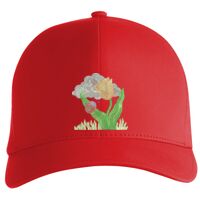 Flexfit Delta cap (180) Vignette