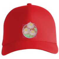 Flexfit Delta cap (180) Vignette