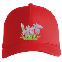 Flexfit Delta cap (180) Vignette