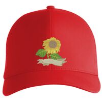 Flexfit Delta cap (180) Vignette