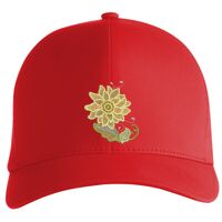 Flexfit Delta cap (180) Vignette