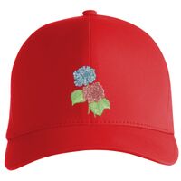 Flexfit Delta cap (180) Vignette