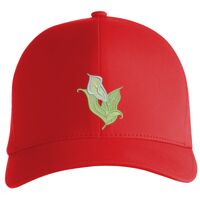 Flexfit Delta cap (180) Vignette