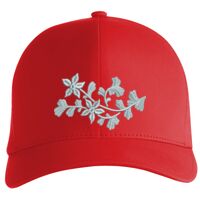 Flexfit Delta cap (180) Vignette