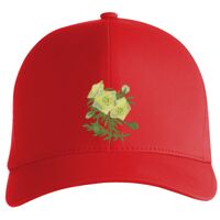 Flexfit Delta cap (180) Vignette