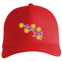 Flexfit Delta cap (180) Vignette