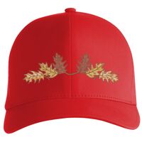 Flexfit Delta cap (180) Vignette