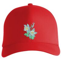 Flexfit Delta cap (180) Vignette