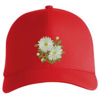 Flexfit Delta cap (180) Vignette