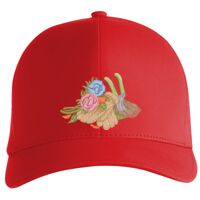 Flexfit Delta cap (180) Vignette