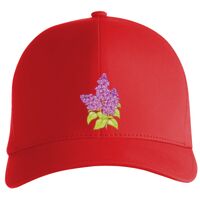 Flexfit Delta cap (180) Vignette