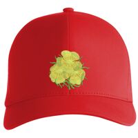 Flexfit Delta cap (180) Vignette