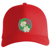 Flexfit Delta cap (180) Vignette
