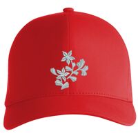Flexfit Delta cap (180) Vignette