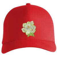 Flexfit Delta cap (180) Vignette