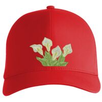 Flexfit Delta cap (180) Vignette