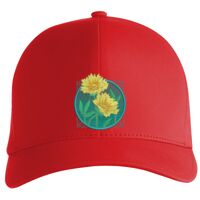 Flexfit Delta cap (180) Vignette