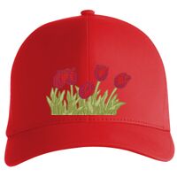 Flexfit Delta cap (180) Vignette