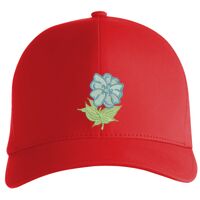 Flexfit Delta cap (180) Vignette
