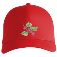 Flexfit Delta cap (180) Vignette
