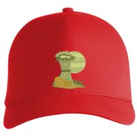 Flexfit Delta cap (180) Vignette