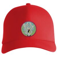 Flexfit Delta cap (180) Vignette