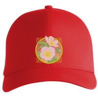 Flexfit Delta cap (180) Vignette