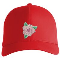 Flexfit Delta cap (180) Vignette