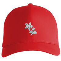 Flexfit Delta cap (180) Vignette