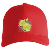 Flexfit Delta cap (180) Vignette