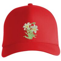 Flexfit Delta cap (180) Vignette