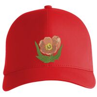 Flexfit Delta cap (180) Vignette